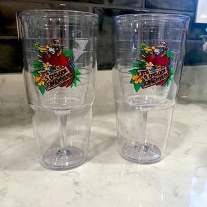 Set of 2 Tervis Wineglasses